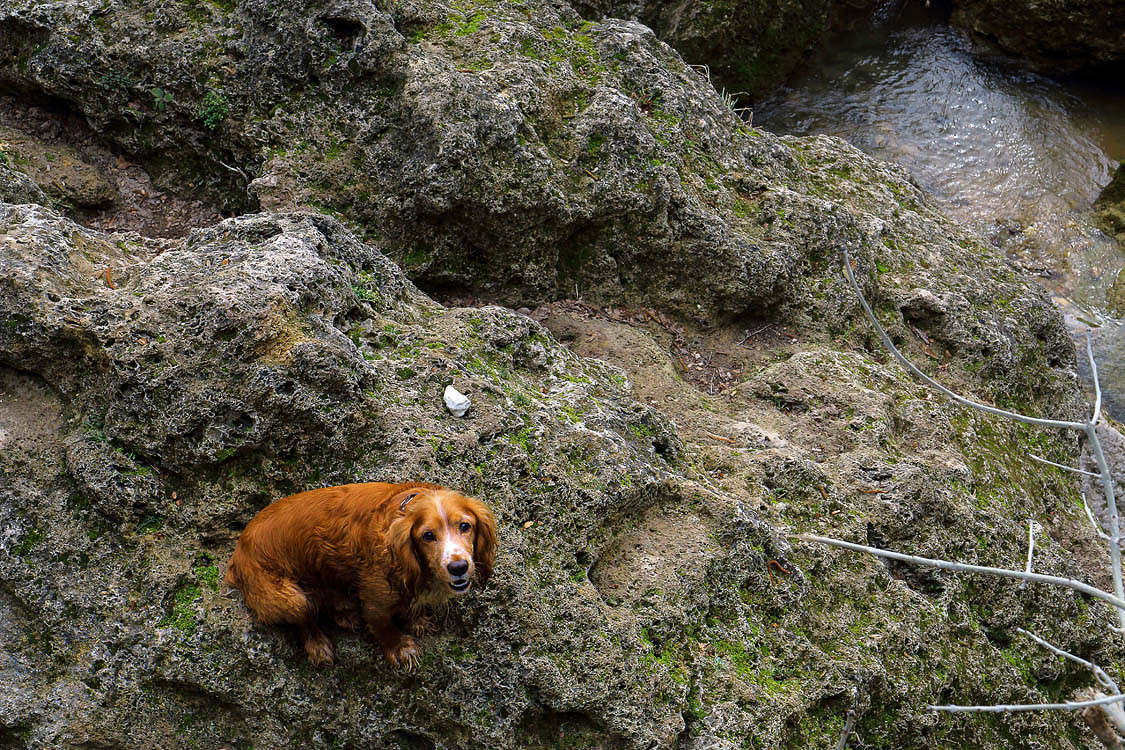 �������, � ��� ����� ����� ������ �������� �� PhotoGeek.ru #�������� ��� #������ ��� �������