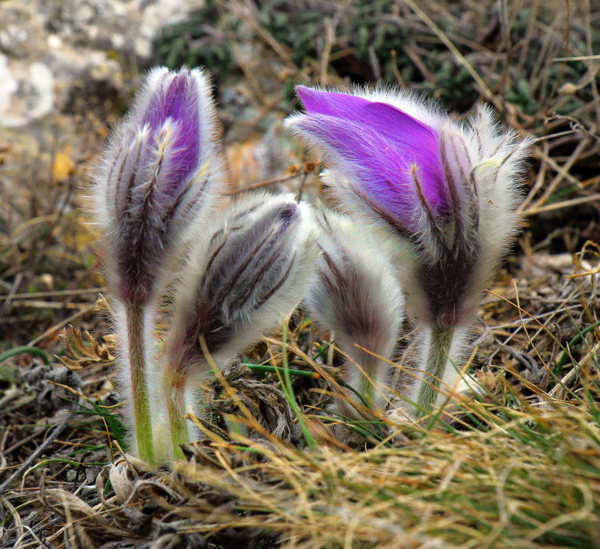 �������� �������� ����� ������ �������� �� PhotoGeek.ru #������ ��� ������� #����� ��������������