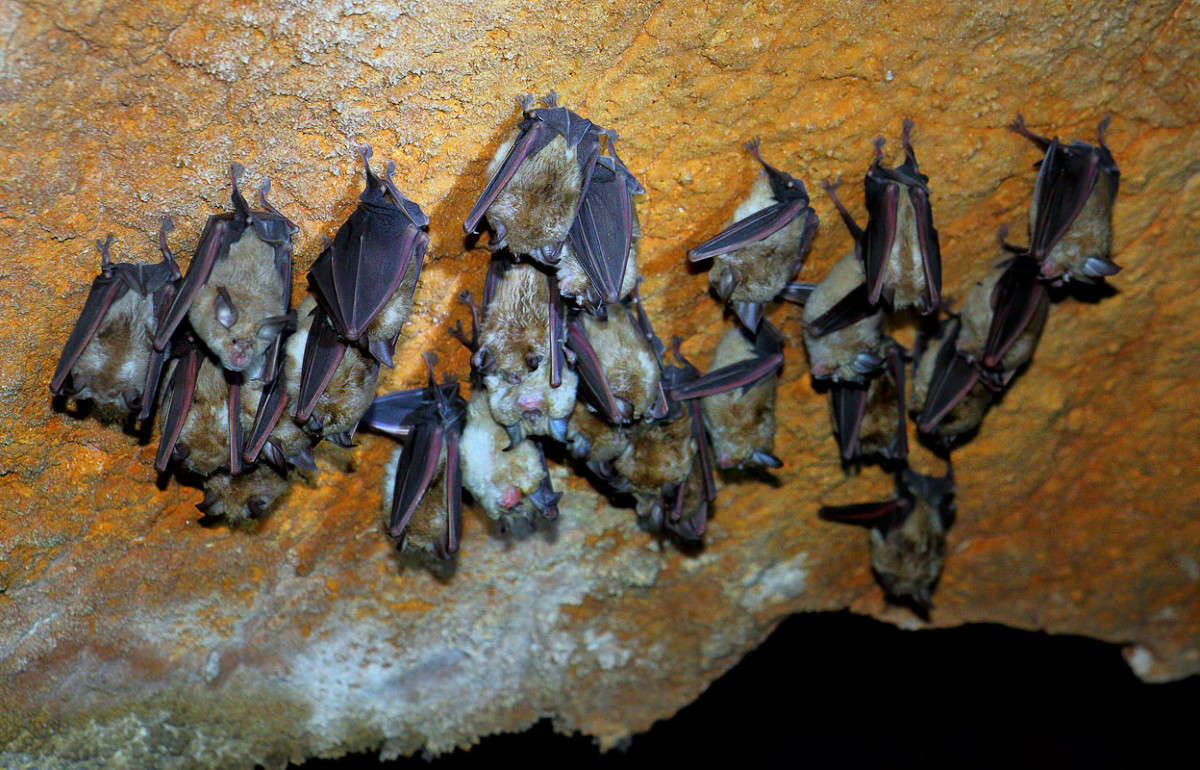 ����� ����� ������ �������� �� PhotoGeek.ru #�������� ��� #����� ��� ��� ���������