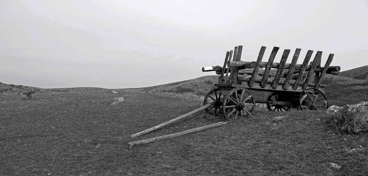 �� ������ ���������� ���������� ����� ������ �������� �� PhotoGeek.ru #�������� ���������� #���������������