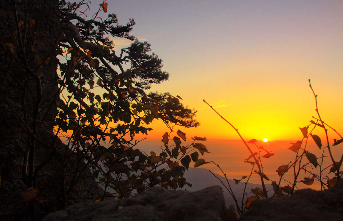 ������ � ����� ����� ������ �������� �� PhotoGeek.ru #������ ��� �������