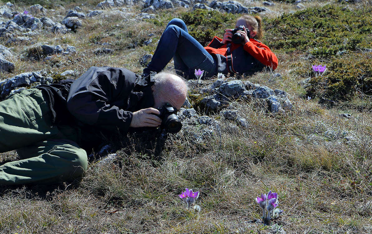 ����������� �� ��������� � ������������ �� ������������ ����� ������ �������� �� PhotoGeek.ru #������ ��� ������� #�������� ���������� #���������������