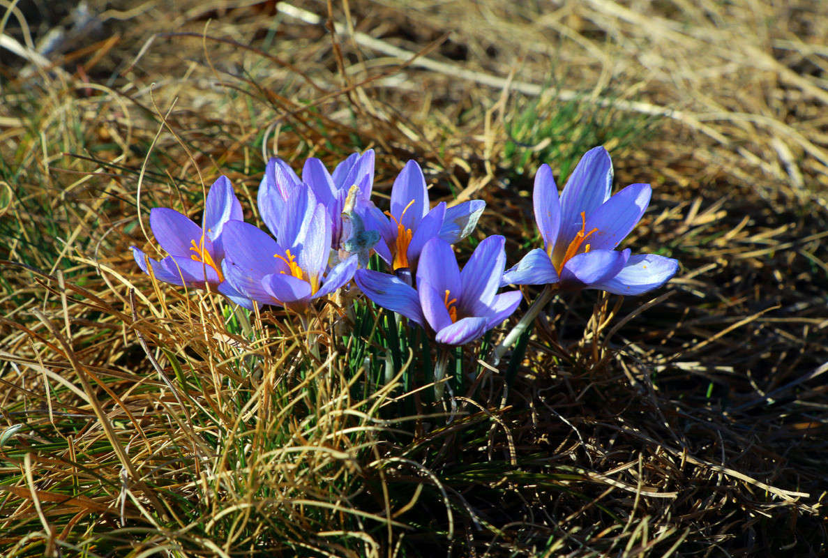 ������ �������� ����� ������ �������� �� PhotoGeek.ru #������ ��� ������� #����� ��������������