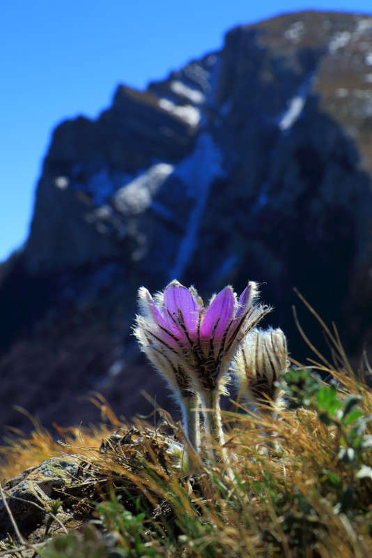 �������� �������� ����� ������ �������� �� PhotoGeek.ru #������ ��� ������� #����� ��������������