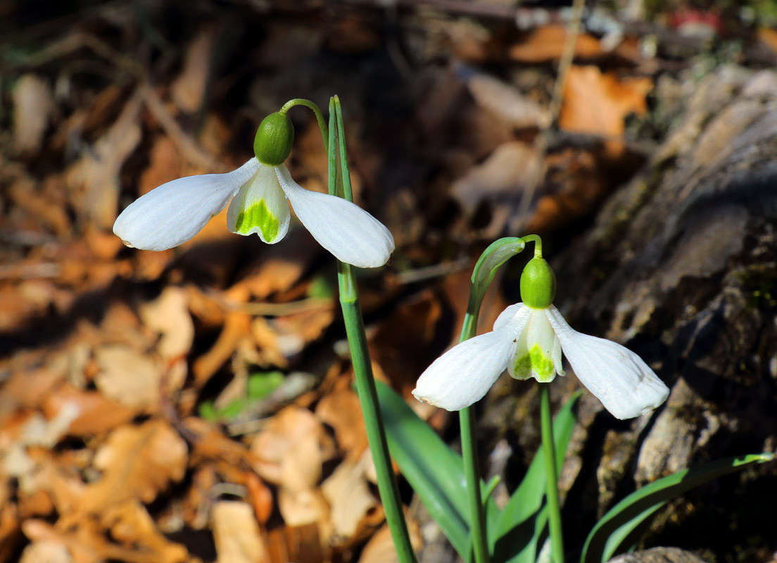 ���������� ���������� ����� ������ �������� �� PhotoGeek.ru #������ ��� ������� #����� ��������������