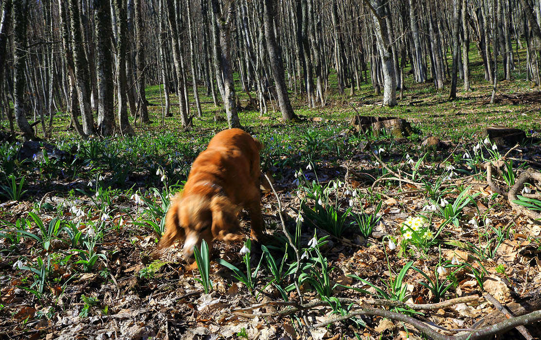 "��� ���������� �������..." ����� ������ �������� �� PhotoGeek.ru #�������� ��� #������ ��� ������� #����� ��������������