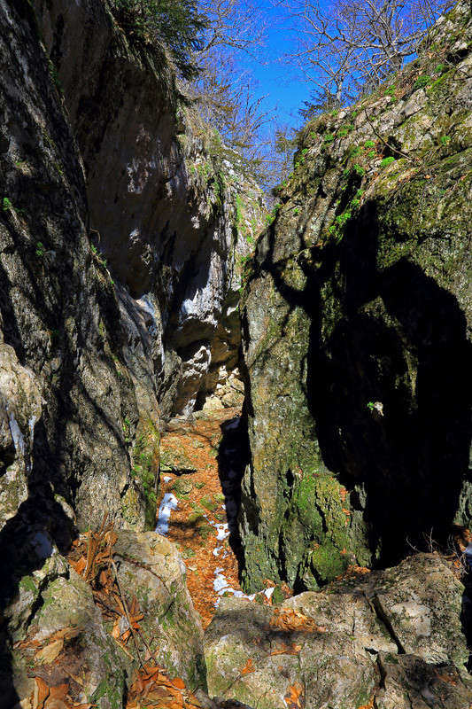 ������� ������ ����� ������ �������� �� PhotoGeek.ru #������ ��� �������