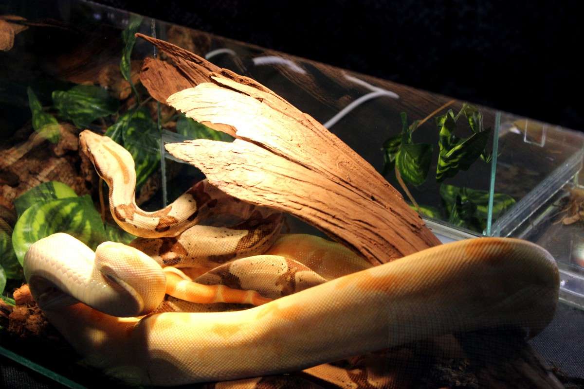 ������ ����� Banksy  �� PhotoGeek.ru #�������� ���