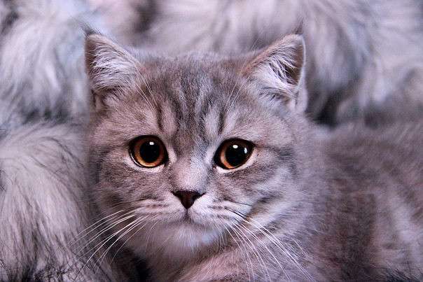 ... ����� �����  �� PhotoGeek.ru #�������� ���