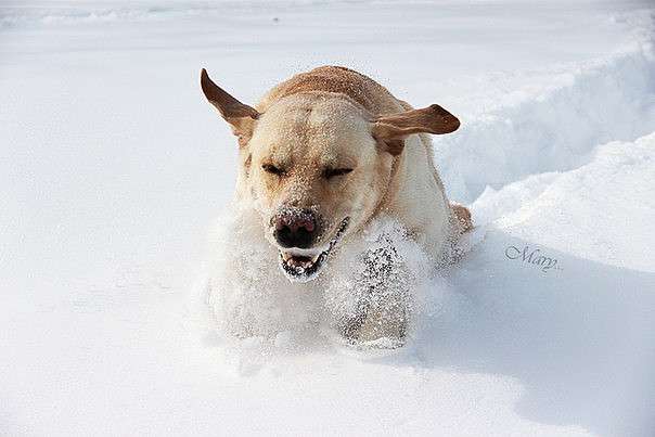 ... ����� �����  �� PhotoGeek.ru #�������� ��� #������ ��� �������