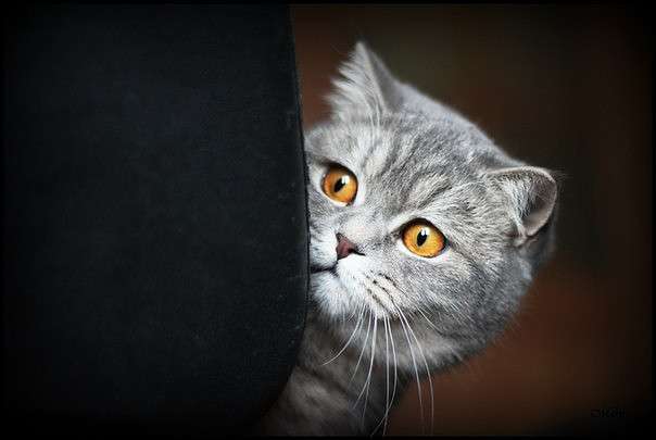 ... ����� �����  �� PhotoGeek.ru #�������� ���