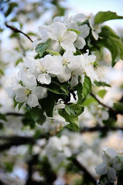 ... ����� �����  �� PhotoGeek.ru #������ ��� �������