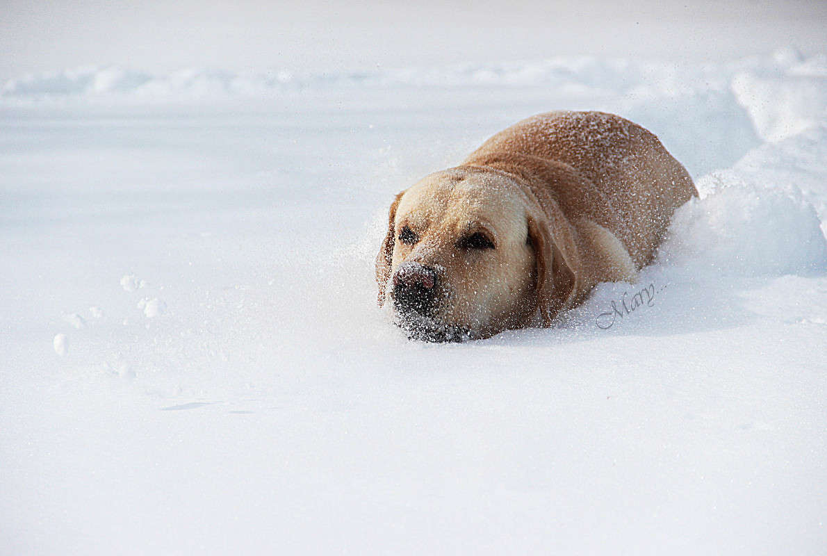 ... ����� �����  �� PhotoGeek.ru #�������� ���