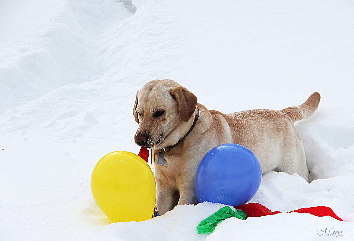 ... ����� �����  �� PhotoGeek.ru #�������� ���