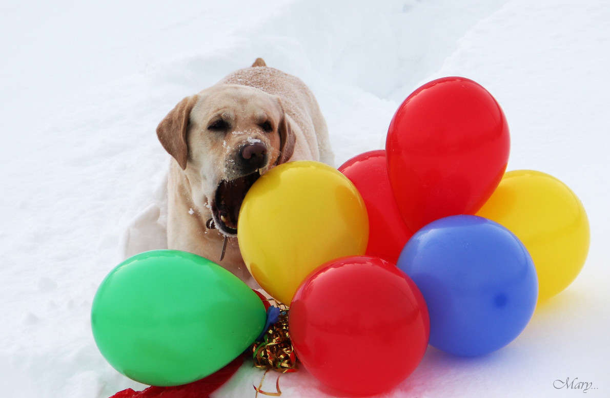 ... ����� �����  �� PhotoGeek.ru #�������� ���