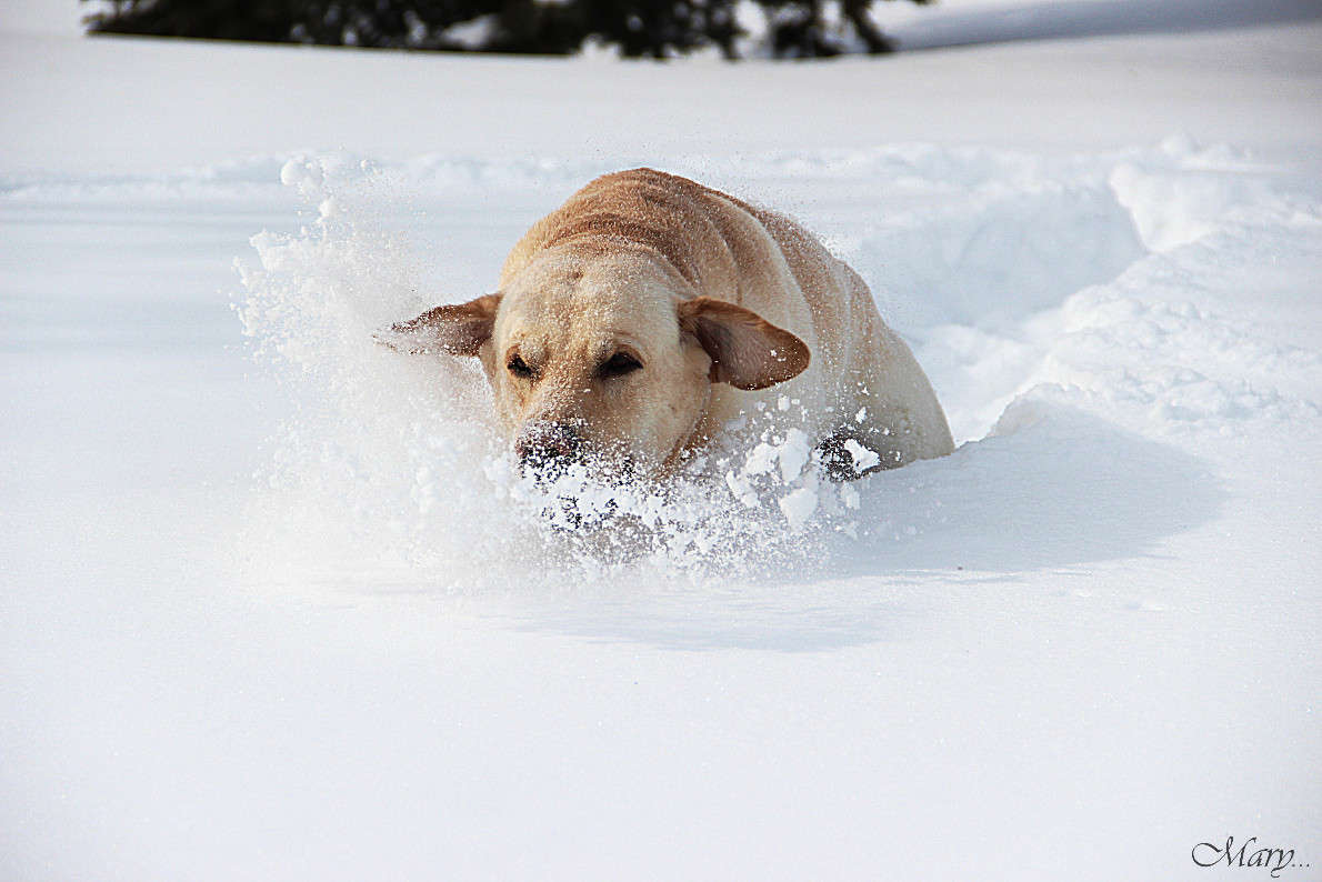 ... ����� �����  �� PhotoGeek.ru #�������� ���