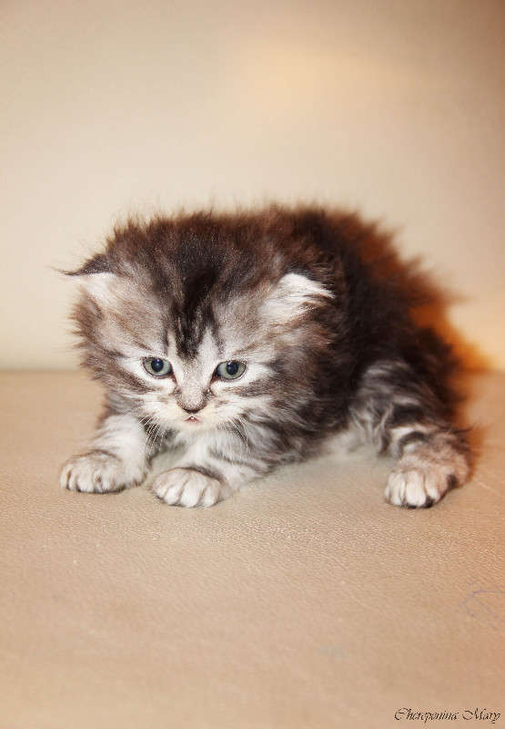 ... ����� �����  �� PhotoGeek.ru #�������� ���