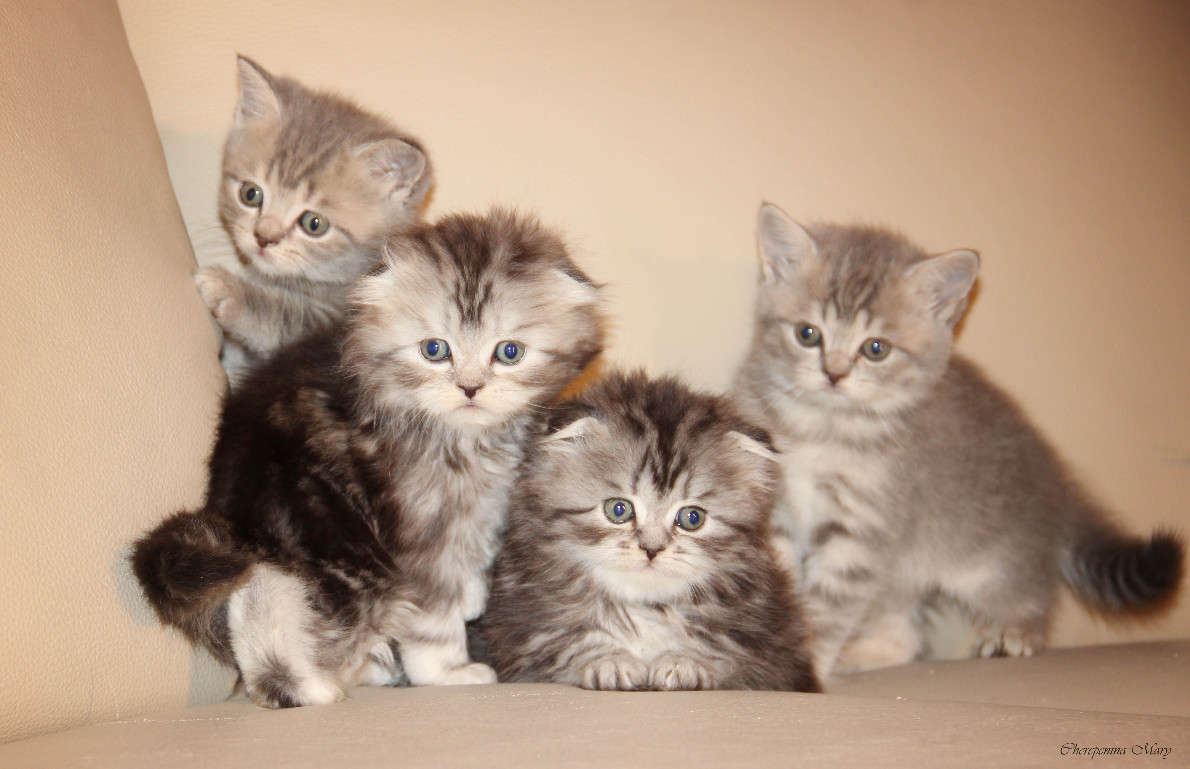 ... ����� �����  �� PhotoGeek.ru #�������� ��� #�������� ����������