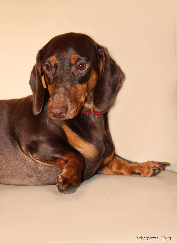 ... ����� �����  �� PhotoGeek.ru #�������� ��� #�������