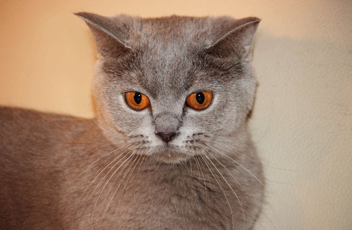 ... ����� �����  �� PhotoGeek.ru #�������� ���