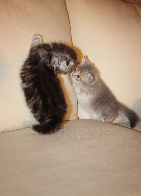 ... ����� �����  �� PhotoGeek.ru #�������� ���