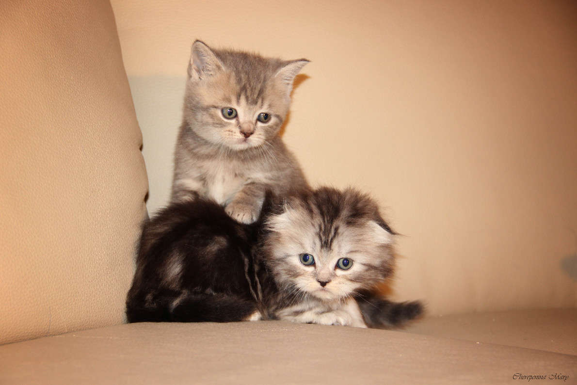 ... ����� �����  �� PhotoGeek.ru #�������� ���