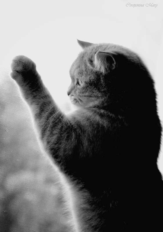 ... ����� �����  �� PhotoGeek.ru #�������� ��� #�������