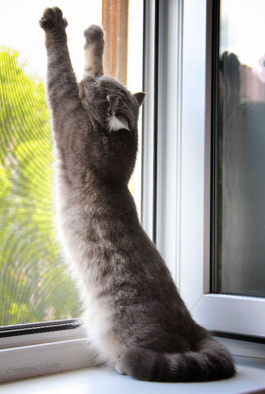 ... ����� �����  �� PhotoGeek.ru #�������� ���