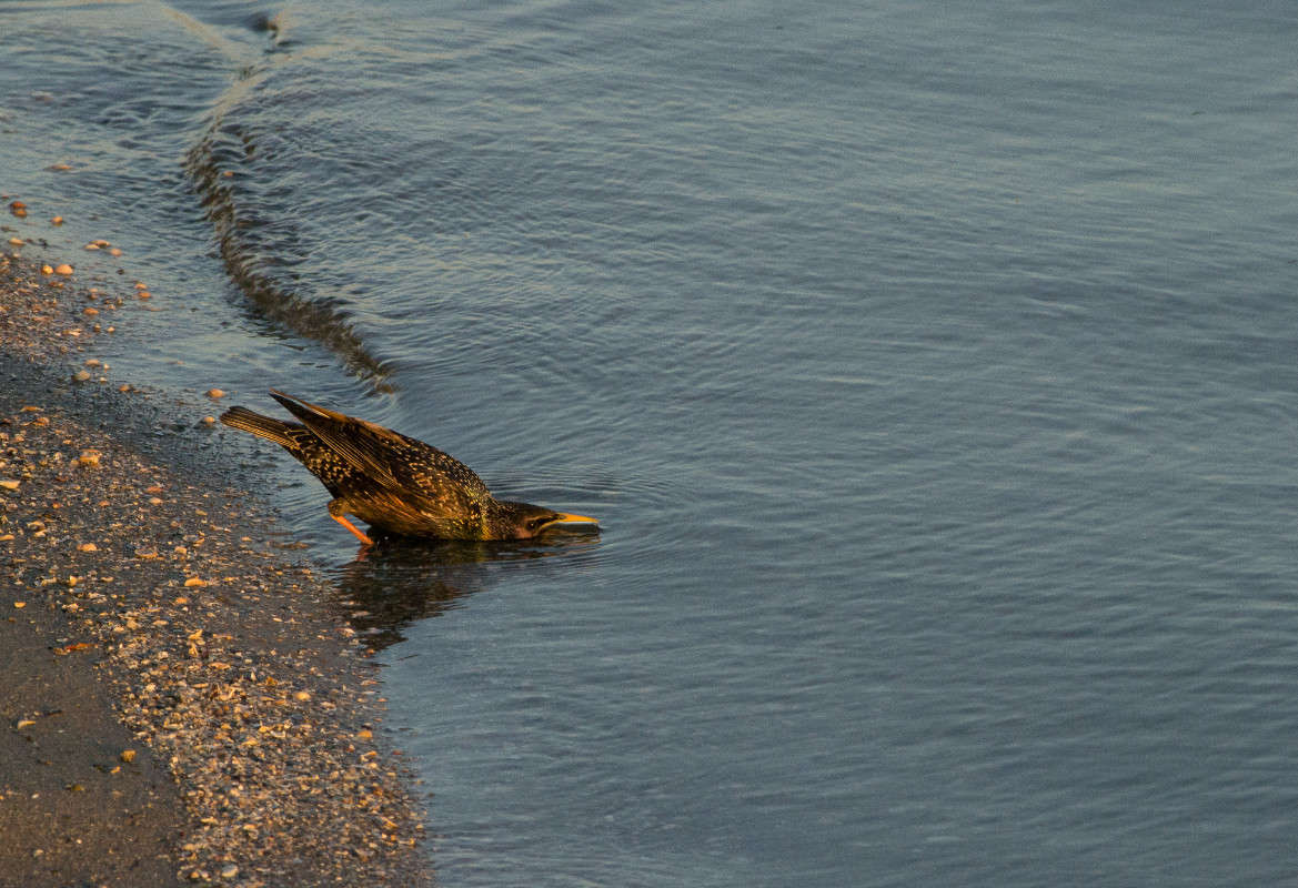 ����� 2 ����� ����� ������ �� PhotoGeek.ru #�������� ��� #������ ��� �������