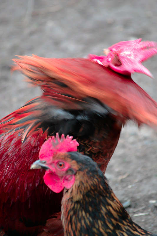 ... ����� ����� ������ �� PhotoGeek.ru #�������� ��� #����� ��� ��� ���������