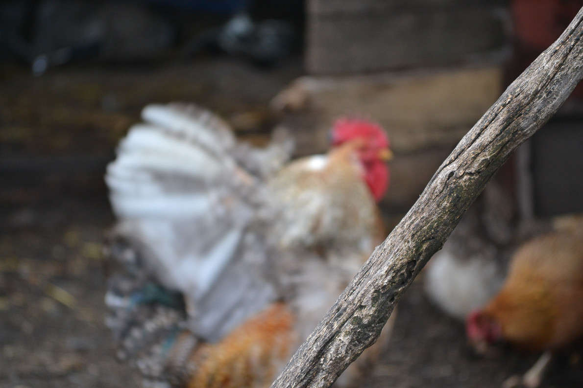 ... ����� ����� ������ �� PhotoGeek.ru #�������� ��� #����� ��� ��� ���������