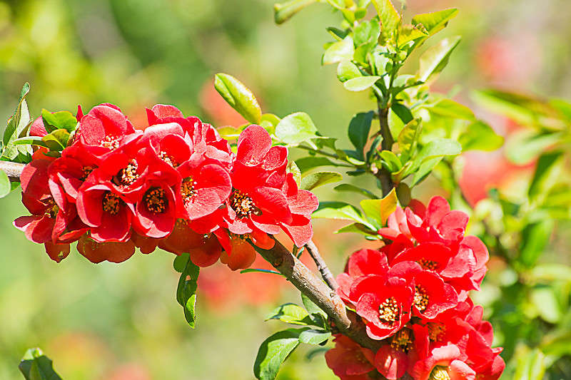 ������ ����� ����� ������ �� PhotoGeek.ru #��������� #������ ��� ������� #�������� ����������