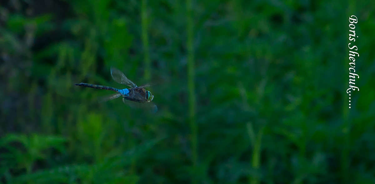 �������� ����� ����� ������ �� PhotoGeek.ru #����� #��������� ���������� #�������� ��� #������ ��� ������� #�������� ���������� #���������