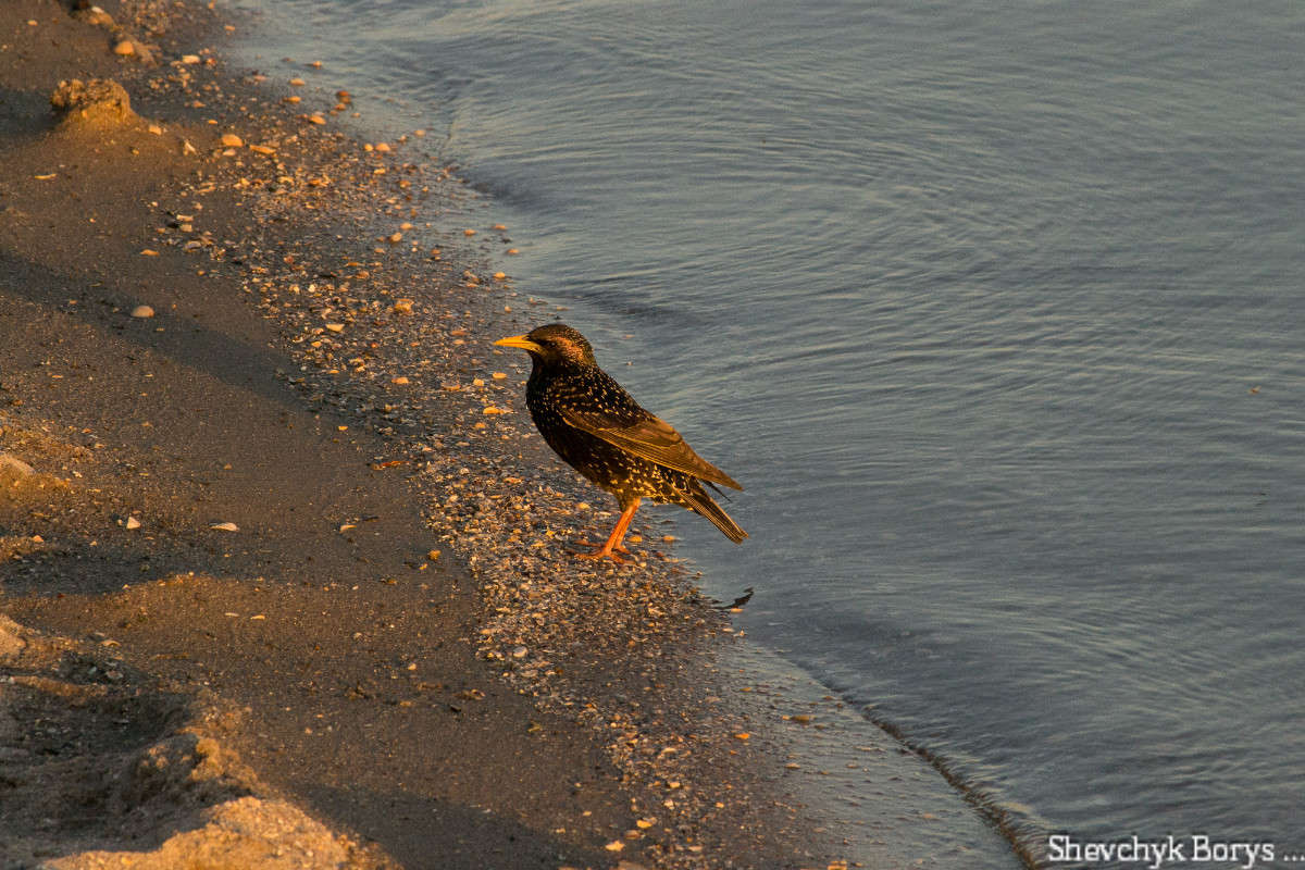 ������ ������ 2 ����� ����� ������ �� PhotoGeek.ru #�������� ��� #������ ��� ������� #�������� #����� ��� ��� ���������