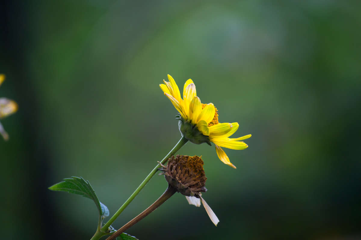 ... ����� ����� ������ �� PhotoGeek.ru #��������� #��������� ���������� #������ ��� �������