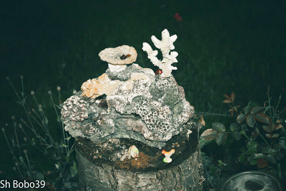 ... ����� ����� ������ �� PhotoGeek.ru #��������� #������ ��� �������