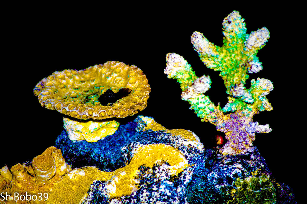 ... ����� ����� ������ �� PhotoGeek.ru #��������� #�������� ����������