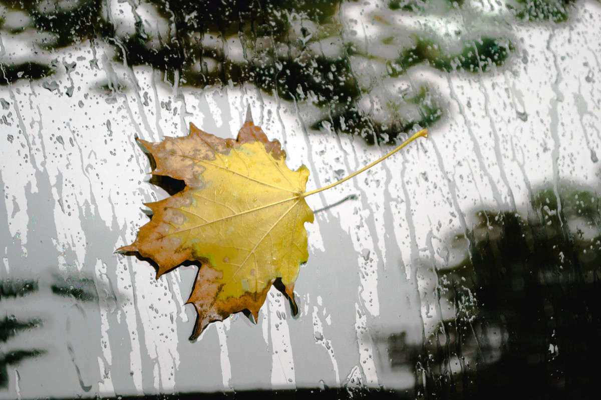 ����� ����� ����� ������ �� PhotoGeek.ru #������ ��� ������� #�������� ���������� #����� ��������������