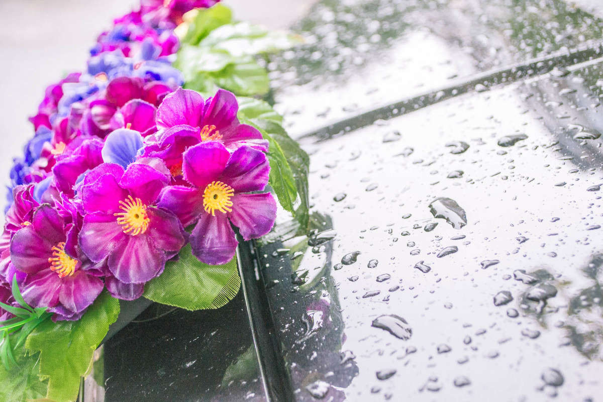 ������ ����� ����� ������ �� PhotoGeek.ru #��������� ����������