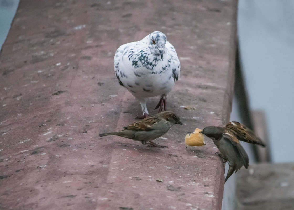 ���� �������� ����� ����� ������ �� PhotoGeek.ru #�������� ��� #������ ��� �������