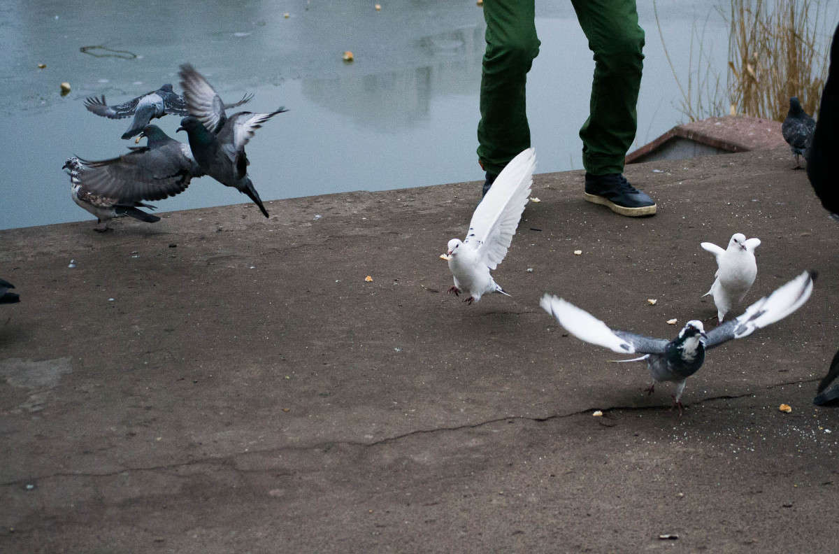 ���� �������� ����� ����� ������ �� PhotoGeek.ru #�������� ��� #������ ��� �������