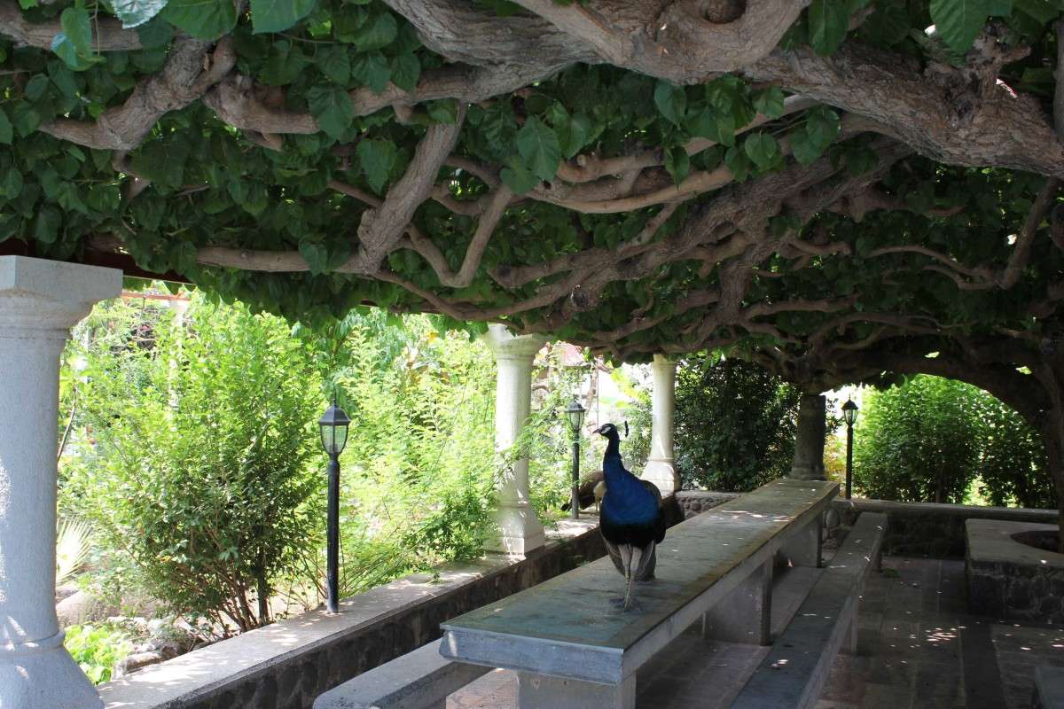 ������� ����� � ������� ����� ����� ������ �������� �� PhotoGeek.ru #�������� ���