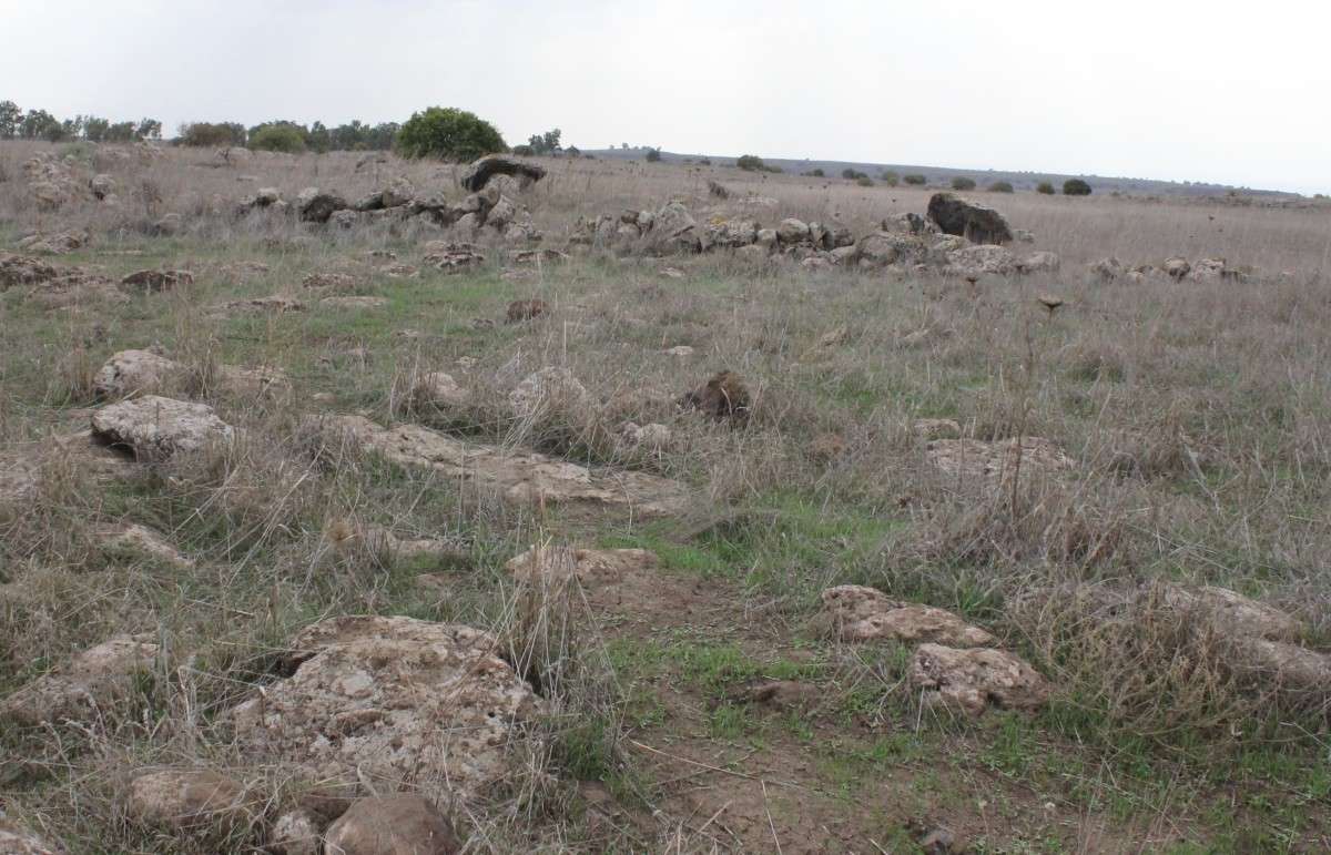 �������,�����,������� ��������� ����� ������ �������� �� PhotoGeek.ru #����� #������ ��� ������� #�������� ���������� #������ ����