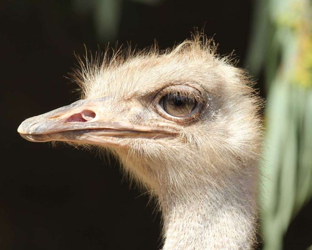 ������� ������� ����� ������ �������� �� PhotoGeek.ru #�������� ��� #������ ��� ������� #�������