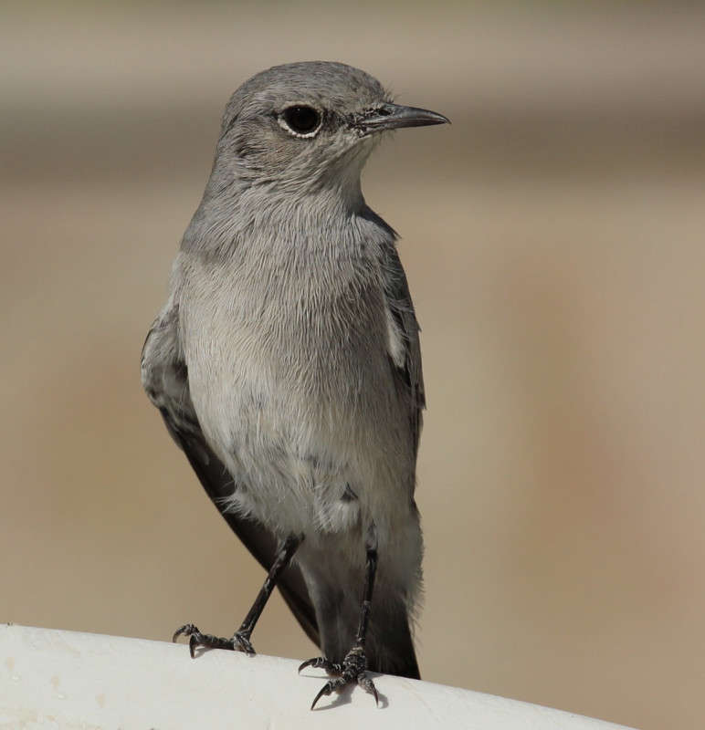 ����������� ��� ������ ̸������ ���� ����� ������ �������� �� PhotoGeek.ru #�������� ��� #����� ��� ��� ���������