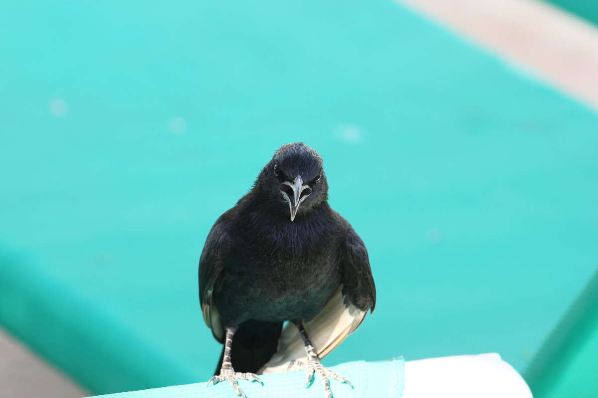 ���������� ������������� ������� ����� ������ �������� �� PhotoGeek.ru #�������� ��� #����� ��� ��� ���������