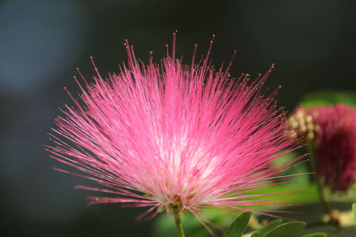 ������ ���������� ����� ����� ������ �������� �� PhotoGeek.ru #������ ��� ������� #����� ��������������