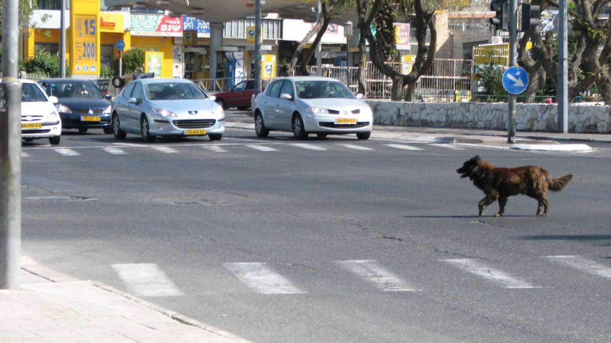 ���������,�� ��������. ����� ������ �������� �� PhotoGeek.ru #�����