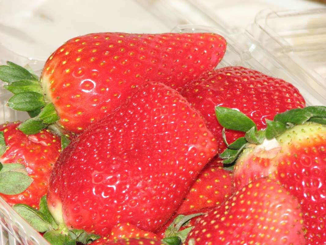 ������ � ������ ����� ������ �������� �� PhotoGeek.ru #������ ��� �������