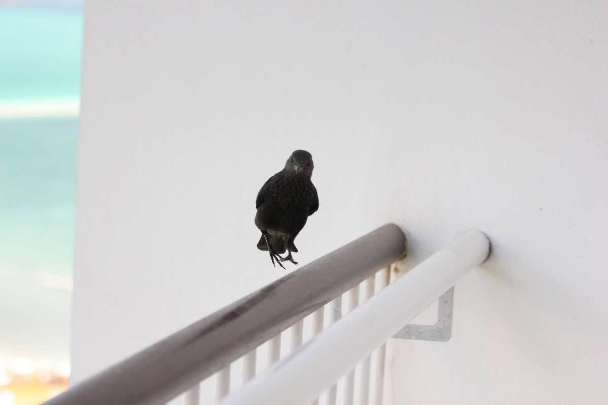 ����� �� 12-�� �����,������� ����� ������ �������� �� PhotoGeek.ru #�������� ��� #����� ��� ��� ���������